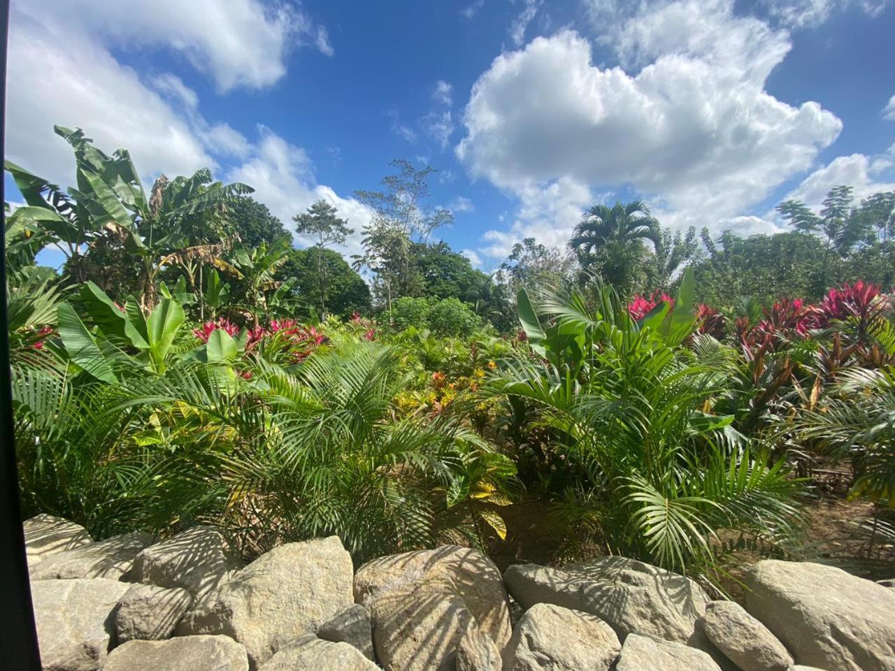 Villa Tanager La Fortuna 外观 照片