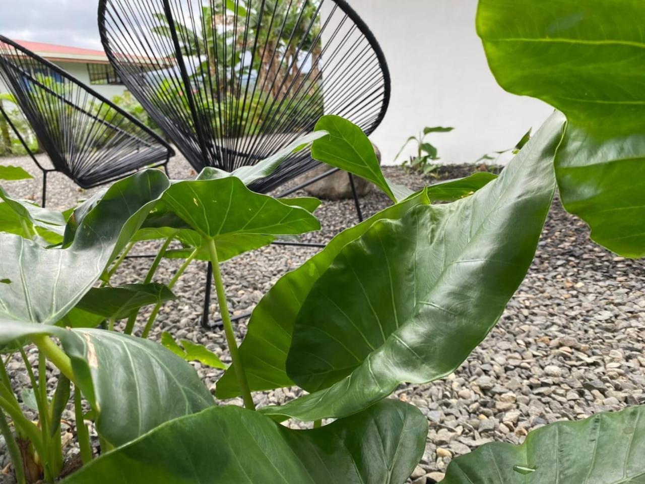 Villa Tanager La Fortuna 外观 照片